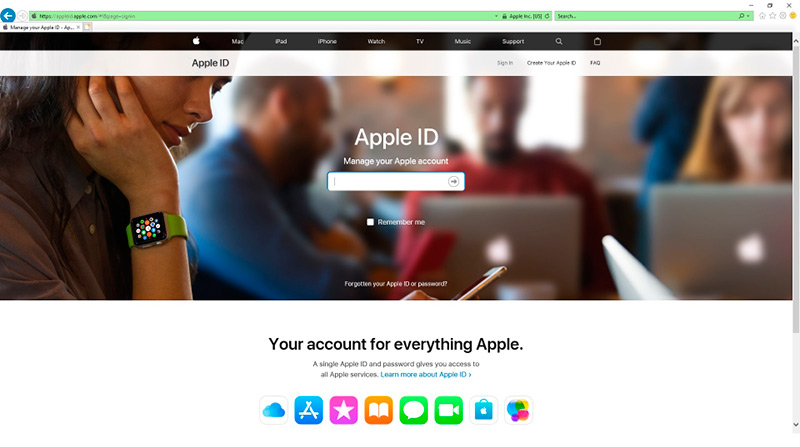 fake phishing apple website